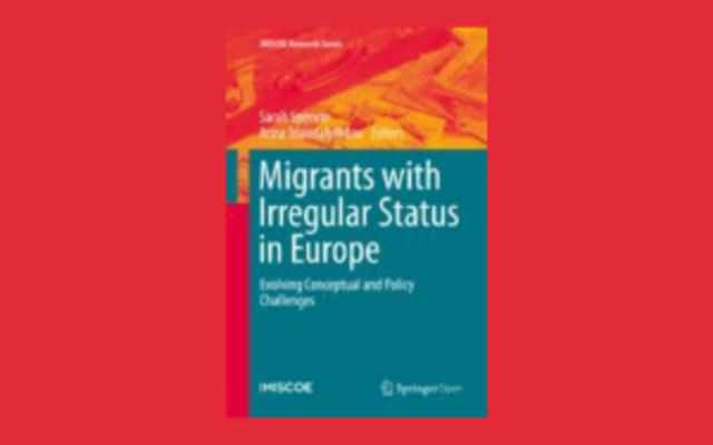 migrant irregular design 14