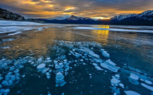 david wirzba 1346150 unsplash pichi