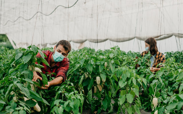 massimo rinaldi 447399 unsplash